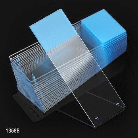 Microscope Slides, Diamond White Glass, 25 x 75mm, Charged, 90° Ground Edges, Blue Frosted, 72/Box, 20 Boxes/Case (10 Gross)