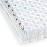 0.2mL 96-Well PCR Plate, Half Skirt (ABI-style), Flat top, Clear